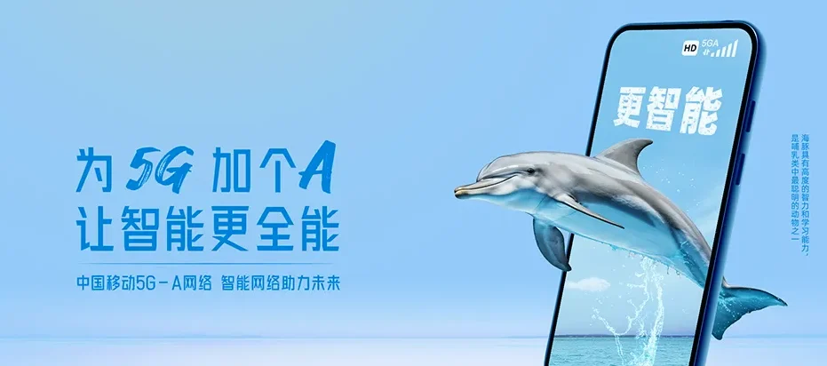 襄都区桥东区王快镇 移动宽带